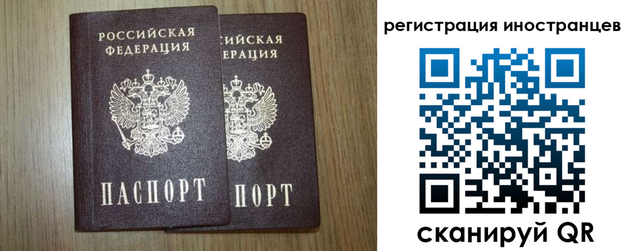 прописка для школы в Сафоново
